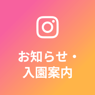 お知らせ・入園案内