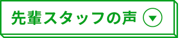 先輩スタッフの声